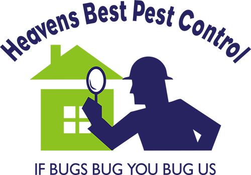 Heavens Best Pest Control
